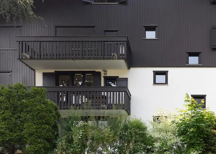 Avec Balcon * Chamonix